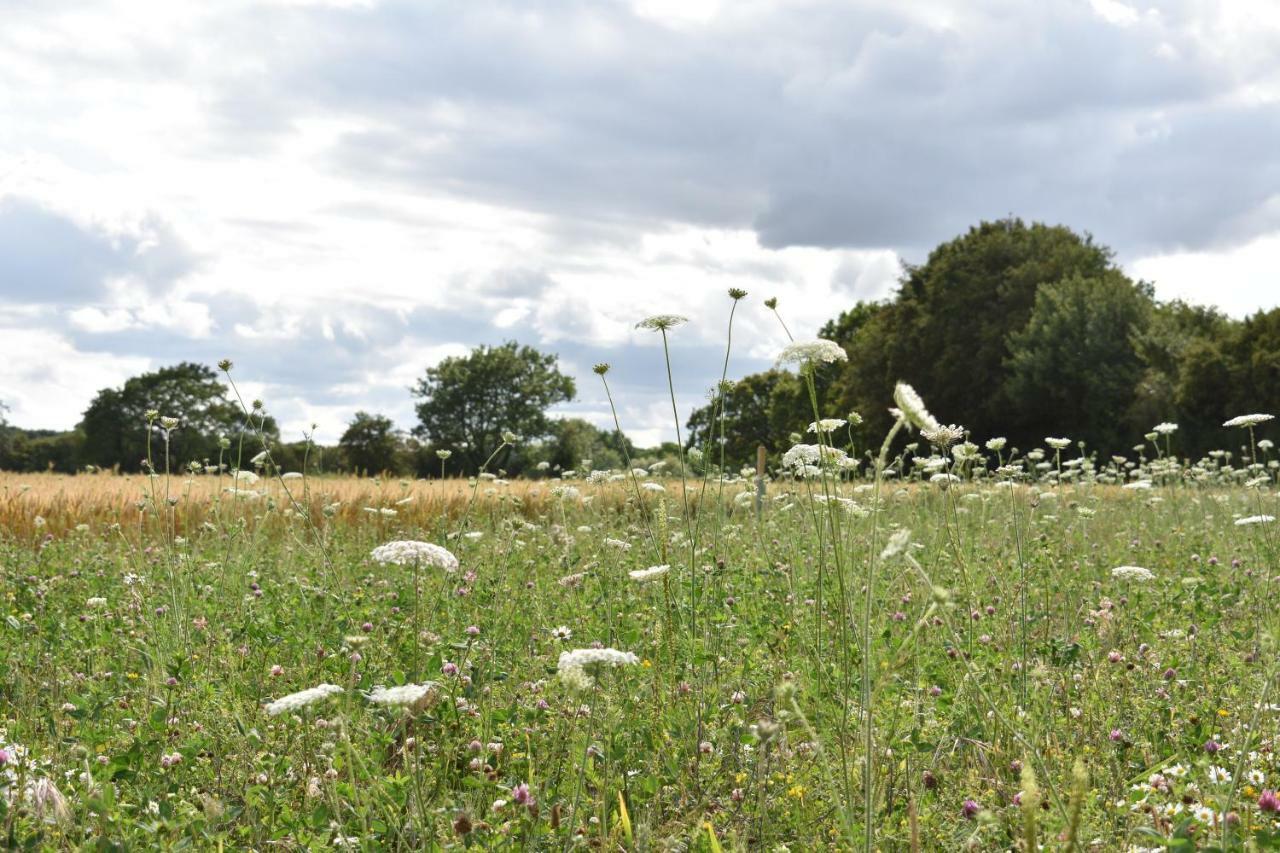 The Fieldbarns At Bullocks Farm Villa Bishop's Stortford Eksteriør billede